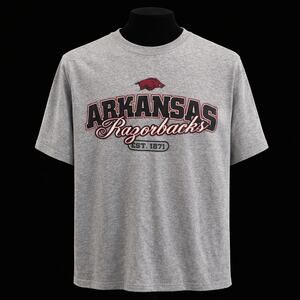 VTG Footlocker Arkansas Razorbacks Gray Foot Locker Graphic Tee Shirt XXL